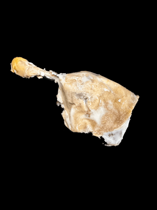 Cuisse de canard confite X1