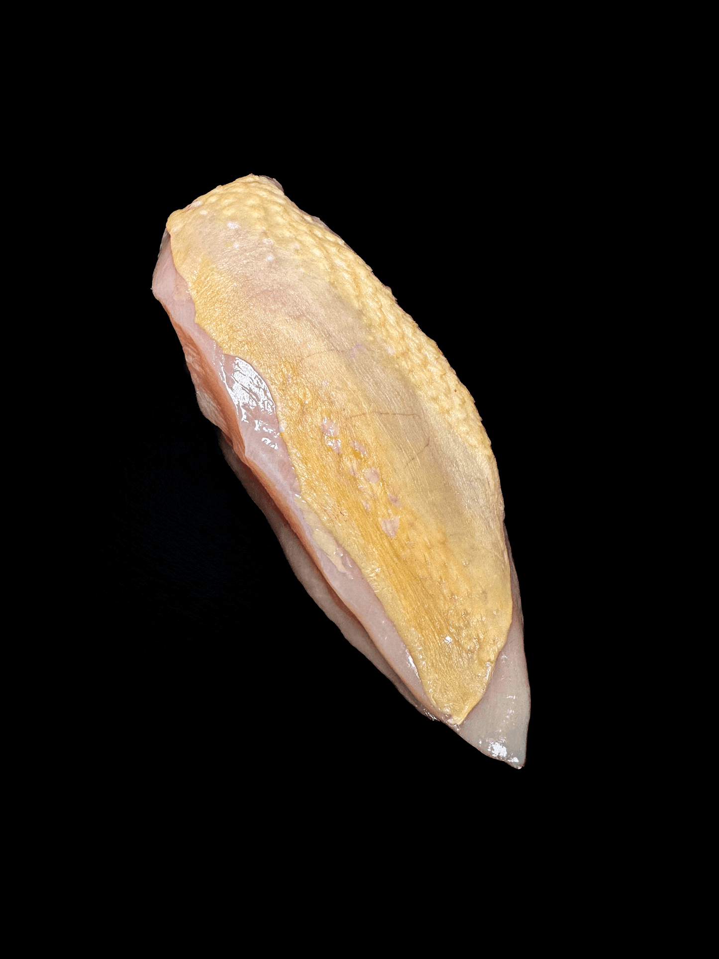 Filet de Poulet