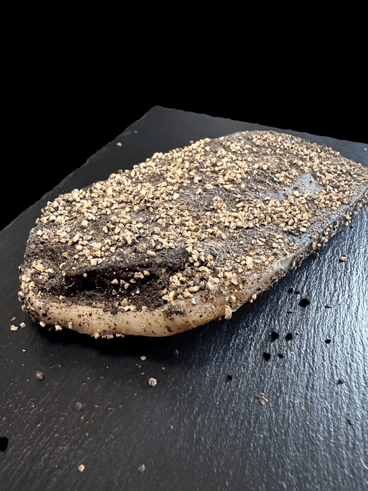 Magret séché entier au poivre